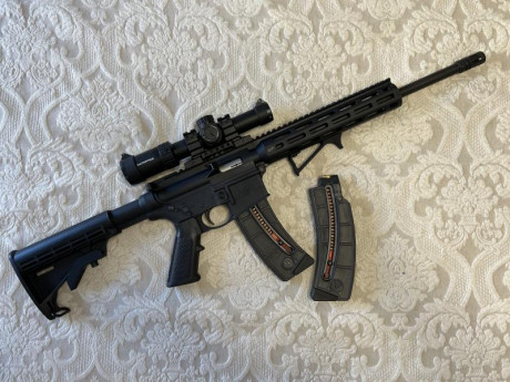 Vendo conjunto carabina del .22 LR tipo AR15 modelo S&W MP15 con varios accesorios. La carabina fue 02