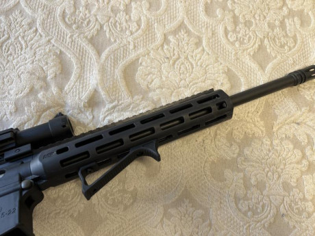 Vendo conjunto carabina del .22 LR tipo AR15 modelo S&W MP15 con varios accesorios. La carabina fue 12
