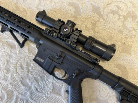 Vendo conjunto carabina del .22 LR tipo AR15 modelo S&W MP15 con varios accesorios. La carabina fue 11