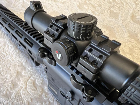 Vendo conjunto carabina del .22 LR tipo AR15 modelo S&W MP15 con varios accesorios. La carabina fue 10