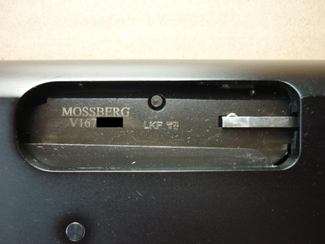 Hola, buenas tardes.

Recientemente he adquirido una escopeta Mossberg en España.

Como a simple vista 71