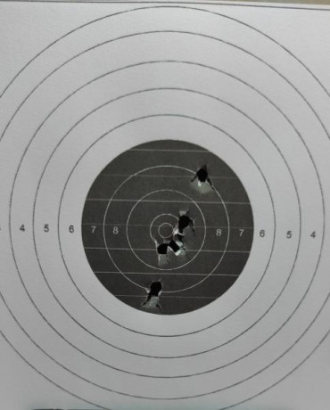  Contexto: 

Buenas tardes, vamos al lío, el año pasado empecé a tirar con pistola de aire 10m, tiraba 82