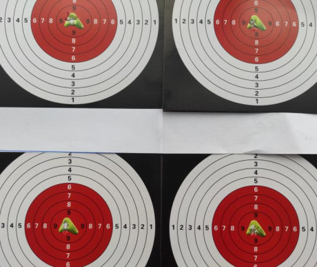  Contexto: 

Buenas tardes, vamos al lío, el año pasado empecé a tirar con pistola de aire 10m, tiraba 81