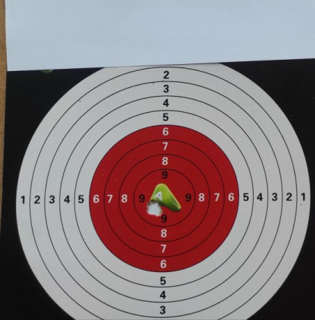  Contexto: 

Buenas tardes, vamos al lío, el año pasado empecé a tirar con pistola de aire 10m, tiraba 80