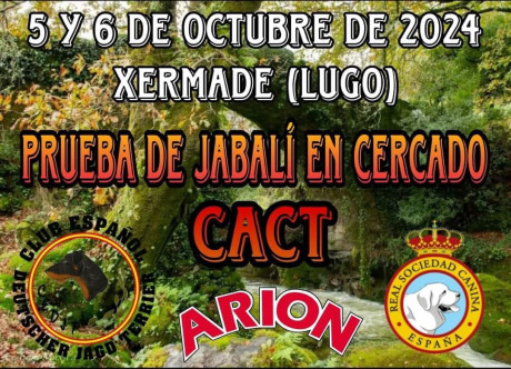 13 de Abril, Ferrol 140