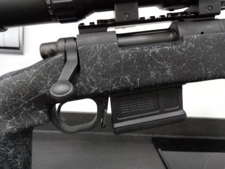 Bell and Carlson Medalist Varmint Tactical regulable Remington 700 SA

Color  Black-Web

SOLO SE VENDE 01