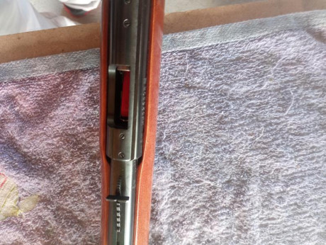 Se vende carabina de 22 Magnum de cerrojo, comprada nueva en 2017 ,a pegado muy pocos disparos,pertenece 02