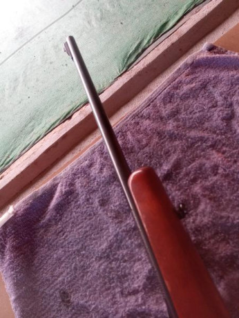 Se vende carabina de 22 Magnum de cerrojo, comprada nueva en 2017 ,a pegado muy pocos disparos,pertenece 00