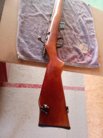Se vende carabina de 22 Magnum de cerrojo, comprada nueva en 2017 ,a pegado muy pocos disparos,pertenece 10