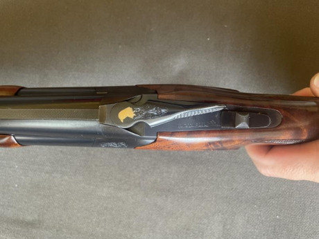 Buenas foro

Pues vendo esta maravilla de arma, conservada en excelentes condiciones, no tiene ningún 52