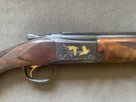 Buenas foro

Pues vendo esta maravilla de arma, conservada en excelentes condiciones, no tiene ningún 60