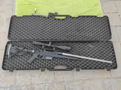 Vendo rifle Unique Fmr calibre 308. Cañón 61 de largo y 24 mm de grueso. Rosca para freno de boca.
Cañones 00