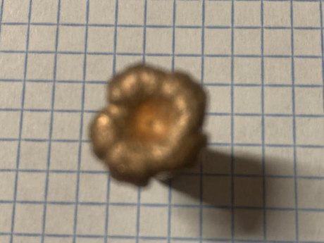 Hola a todos, me gustaría saber de alguien que tenga un 6,5 creedmoor y pueda contar su verdadera experiencia, 160