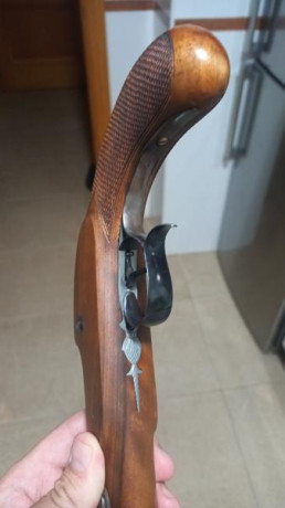 Buenas compañeros.

Vendo pistola Hege Uberlinger cal 33 hecha en Alemania.
Cañón de acero Krupp 

Conjunto 92