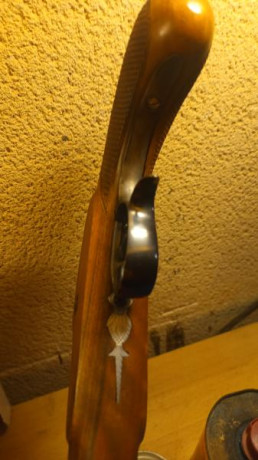 Buenas compañeros.

Vendo pistola Hege Uberlinger cal 33 hecha en Alemania.
Cañón de acero Krupp 

Conjunto 90