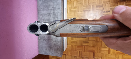 Hola. Vendo escopeta sporting,Fabarm con 5 polichoques extensibles, selector de disparo, funda, Monogatillo 10