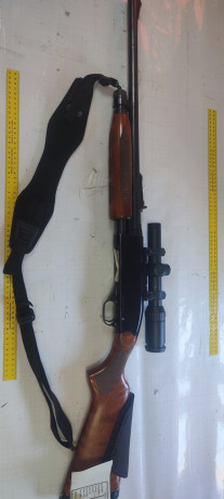 Se vende 01