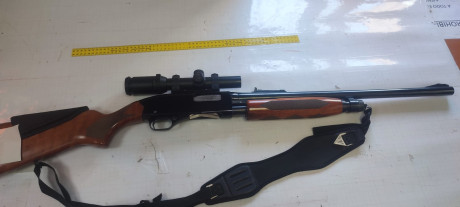 Se vende 12