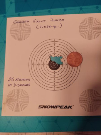 Buenas a todos

Recientemente he visto algún anuncio de la carabina Snowpeak m18 por internet. Es estéticamente 142