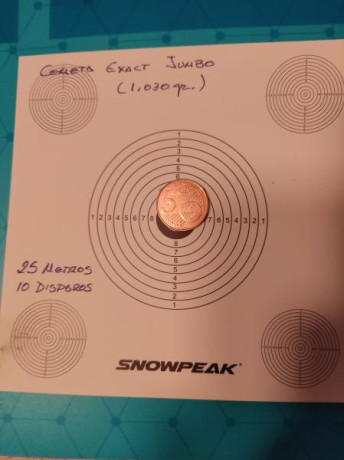 Buenas a todos

Recientemente he visto algún anuncio de la carabina Snowpeak m18 por internet. Es estéticamente 141