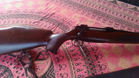 Para financiar otro proyecto se vende este magnífico sauer 202 en 6, 5x55 sw maderas preciosas y agrupación 80