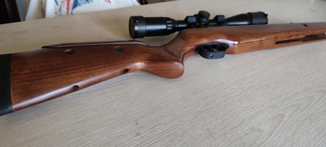 Pues eso, prácticamente nueva, con visor indestructible Leapers 3-9x40 y monturas monopieza 
Pido 250e 11