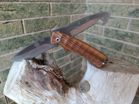 Vendido Cuchillo ROTTOR 01