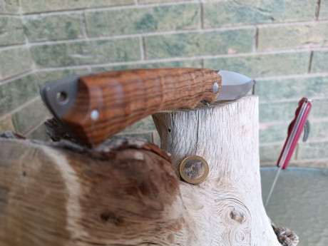 Vendido Cuchillo ROTTOR 10