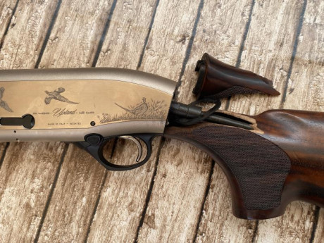 Hola buenas quería información de cómo y donde comprar una culata de una beretta a400 upland , el jueves 01