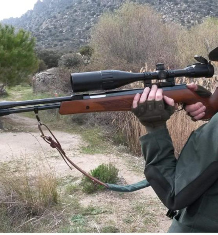 Buenas tardes,

Podriais recomendarme alguna carabina de piston para comenzar a pliquear un poco.

Que 170