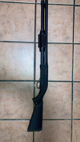 Vendo Santa Barbara c75 en 308 win y escopeta winchester sxp cal 12 las 2 por 600 euros envío a cargo 01
