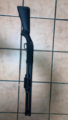 Vendo winchester sxp en 200 euros mi número es 00