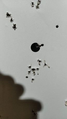 Bueno, para animar el foro un poco, propongo colgar fotos de dianas y arma usada para ello, pudiendo ser 90