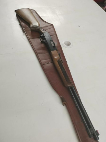 Para dejar de acumular polvo en el armero me vendo esta carabina semiautomática.

200 €

Está en Barcelona. 01