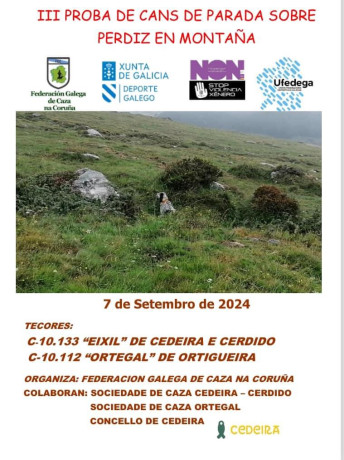 13 de Abril, Ferrol 10