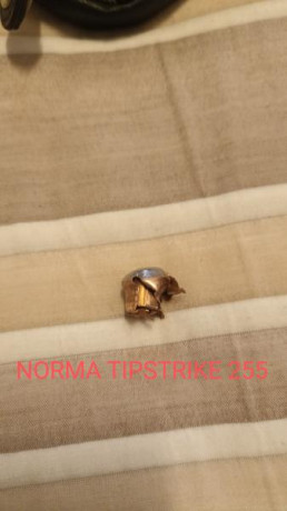 Hola compañeros espero poner a tiro mi nuevo Merkel SR1 calibre 9.3x62 la proxima semana.Pero sigo con 122
