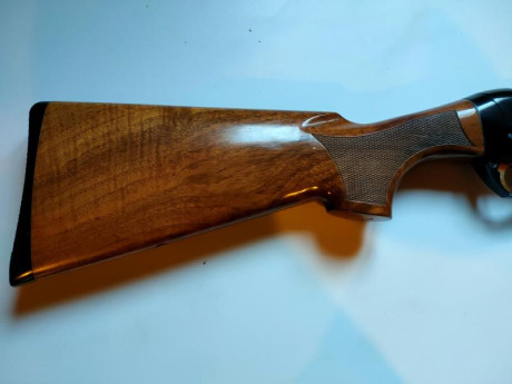 Vendo Benelli Raffaello, modelo anterior a la Crio.
Cañón original de 71 cm más otro adicional de 66 cm. 00