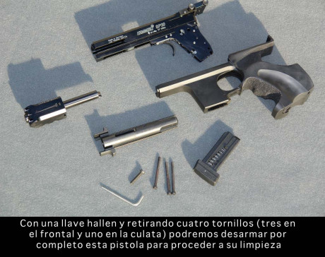 Buenos días a tod@s. Hace algún tiempo que voy leyendo vuestros artículos y comentarios y muchos me parecen 30