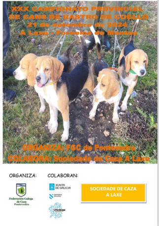 13 de Abril, Ferrol 20