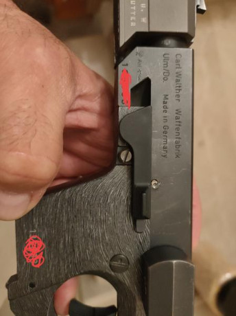 Hola, a ver si me podéis ayudar.

He tenido 3 Walther GSP Expert, dos del 32 y una del 22., las cuales 10