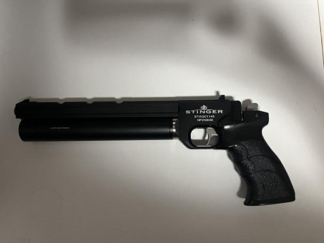 Hola a todos. He estado mirando varias pistolas para iniciarme en el tiro a 10 m con cal. 4,5 y ésta es 171