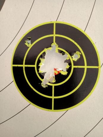Bueno, para animar el foro un poco, propongo colgar fotos de dianas y arma usada para ello, pudiendo ser 160