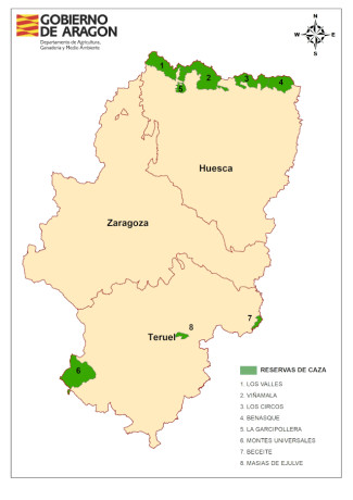 Buenos días soy un cazador de Aragón  que me gusta la caza menor aunque  me estoy planteando ir ala caza 50