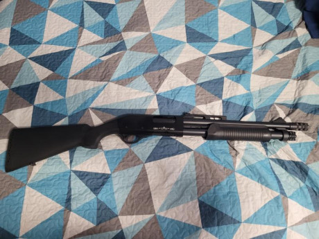 VENDO MI
 STINGER TACTICAL 250€ + PORTES
  TAMBIEN se podría estudiar cambio por un 22 cerrojo o tipo 02