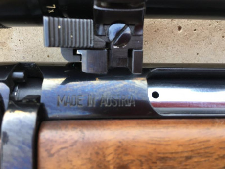 SE PUEDE CERRAR. RIFLE DE CERROJO STEYR MANNLINCHER.
MODELO L.
CAÑÓN PESADO. 
CALIBRE .243 Winchester. 21