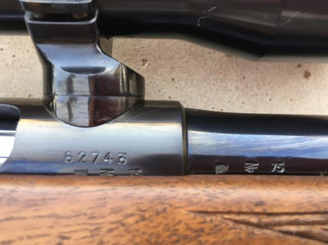 SE PUEDE CERRAR. RIFLE DE CERROJO STEYR MANNLINCHER.
MODELO L.
CAÑÓN PESADO. 
CALIBRE .243 Winchester. 20