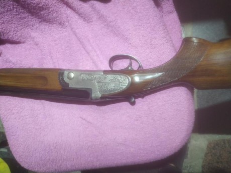 Buenas,
Me llamó Tomás, busco escopeta superpuesta Sporting Cal.12, cañón min.71 cm...74cm...monogatillo, 31
