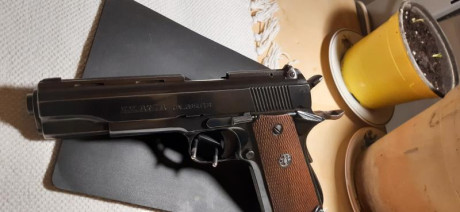 Pongo en venta una Llama  medelo Vlll cal .38sa usada en IPSC Clasic , con tres cargadores y 250 vainas 00