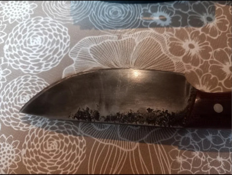 Cuchillo nuevo sin estrenar del prestigioso forjador JD Knives,  19,5 de largo, mango 11,5cm, 8cm hoja, 00