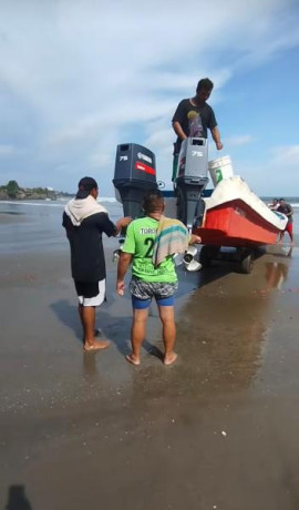 Buenas noches que veis mejor para una barca un motor fueraborda o dos?.
Estaba pensando en pasarme a un 110